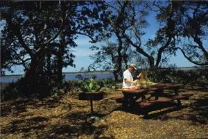 picnic at crooked river state park st marys georgia